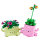 LEGO BOTANICALS 11506 Bujające się roślinki - 1517894 - zdjęcie 3